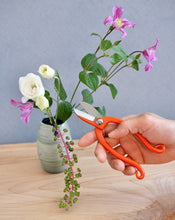 Load image into Gallery viewer, Flower Shears  Ikebana